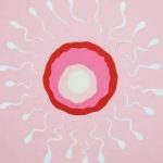 declining trend of sperm count