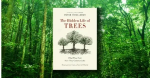 The Hidden Life of Trees review 2025