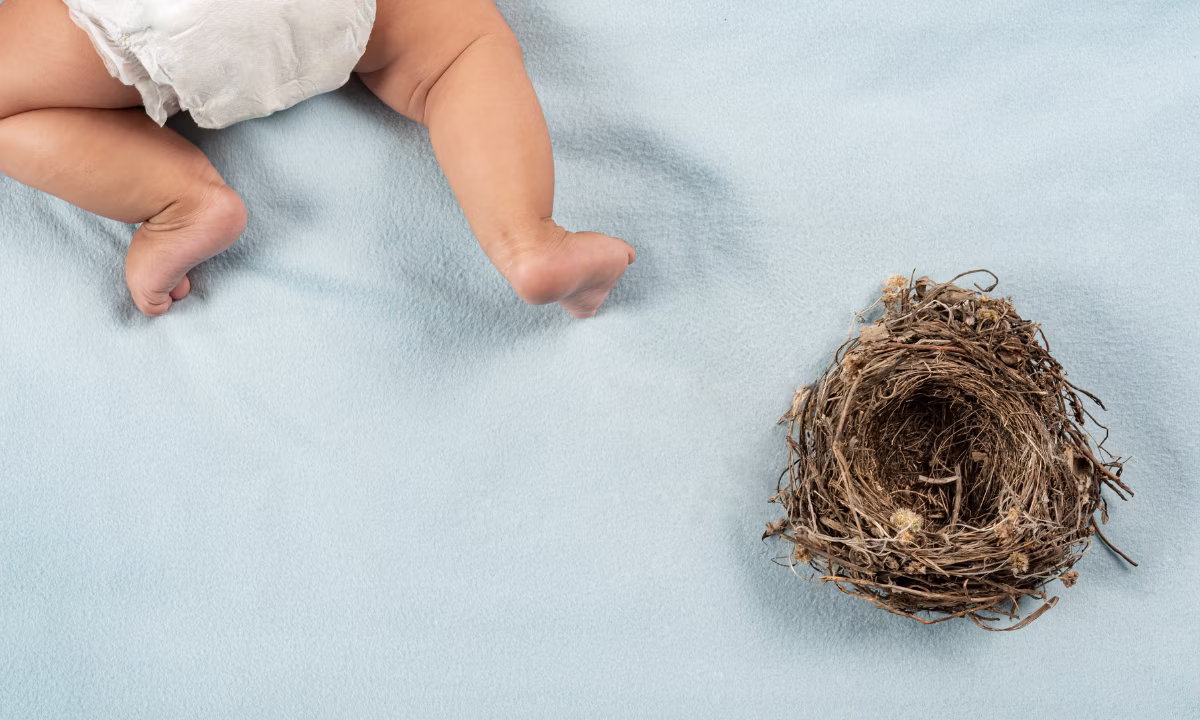 Empty Nest Syndrome